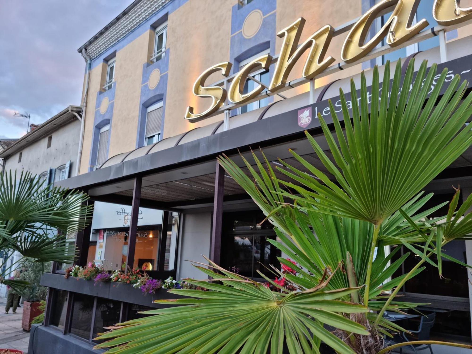 Logis Hotel Schaeffer- Restaurant Le Saint Georges Serrières-en-Chautagne Dış mekan fotoğraf