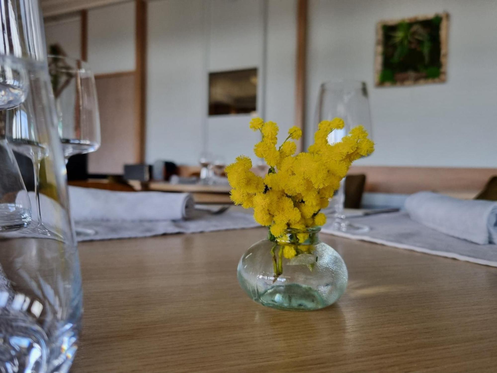 Logis Hotel Schaeffer- Restaurant Le Saint Georges Serrières-en-Chautagne Dış mekan fotoğraf